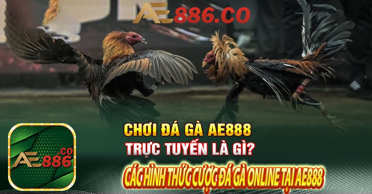 Các hình thức cược đá gà online tại Ae888