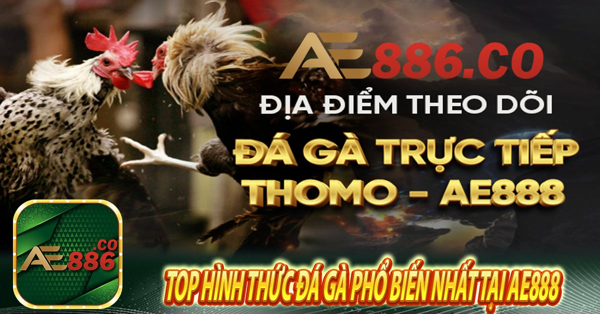 TOP hình thức đá gà phổ biến nhất tại Ae888